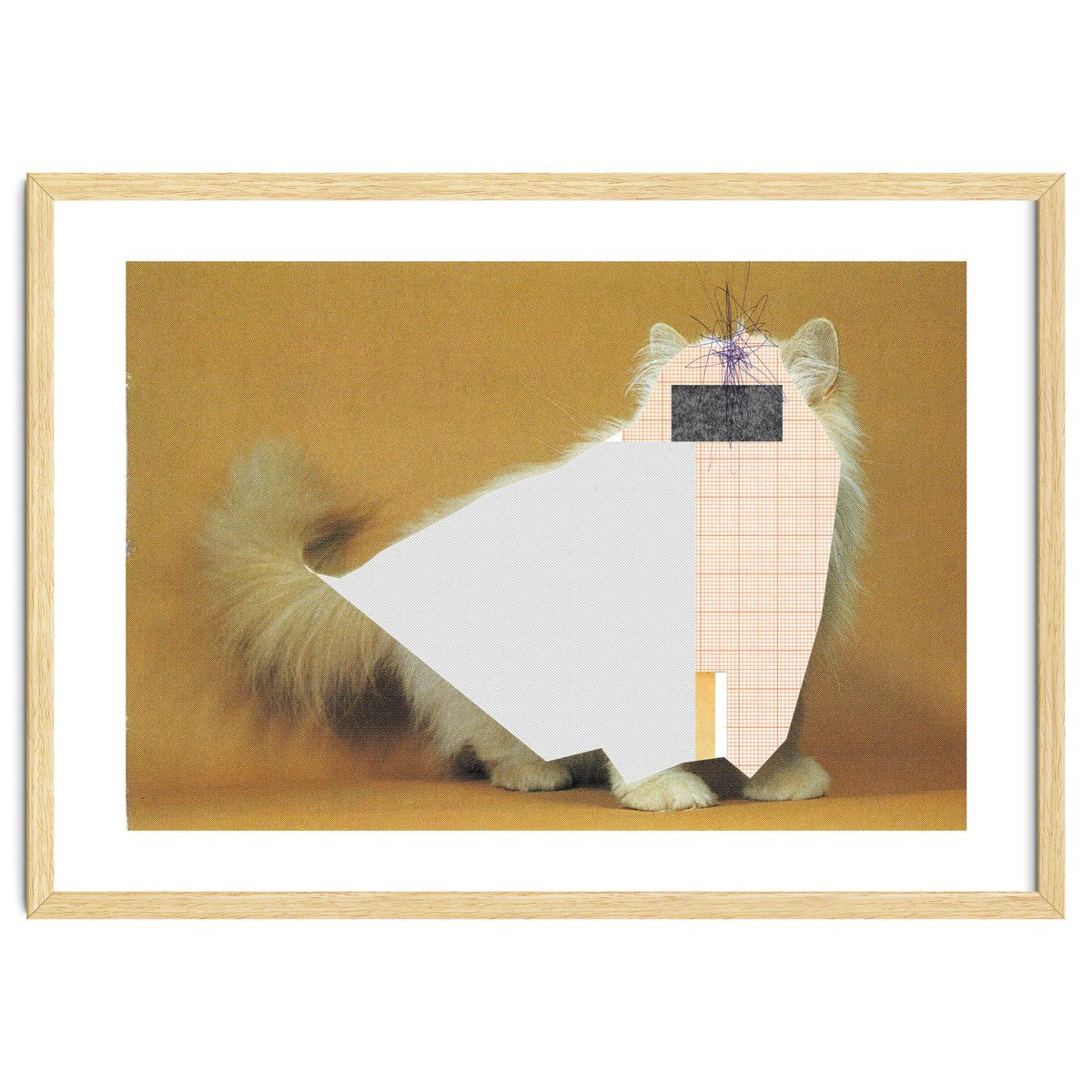 Content Of The Cat 1