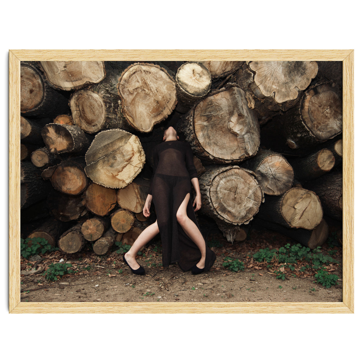 Slow Dancing Society