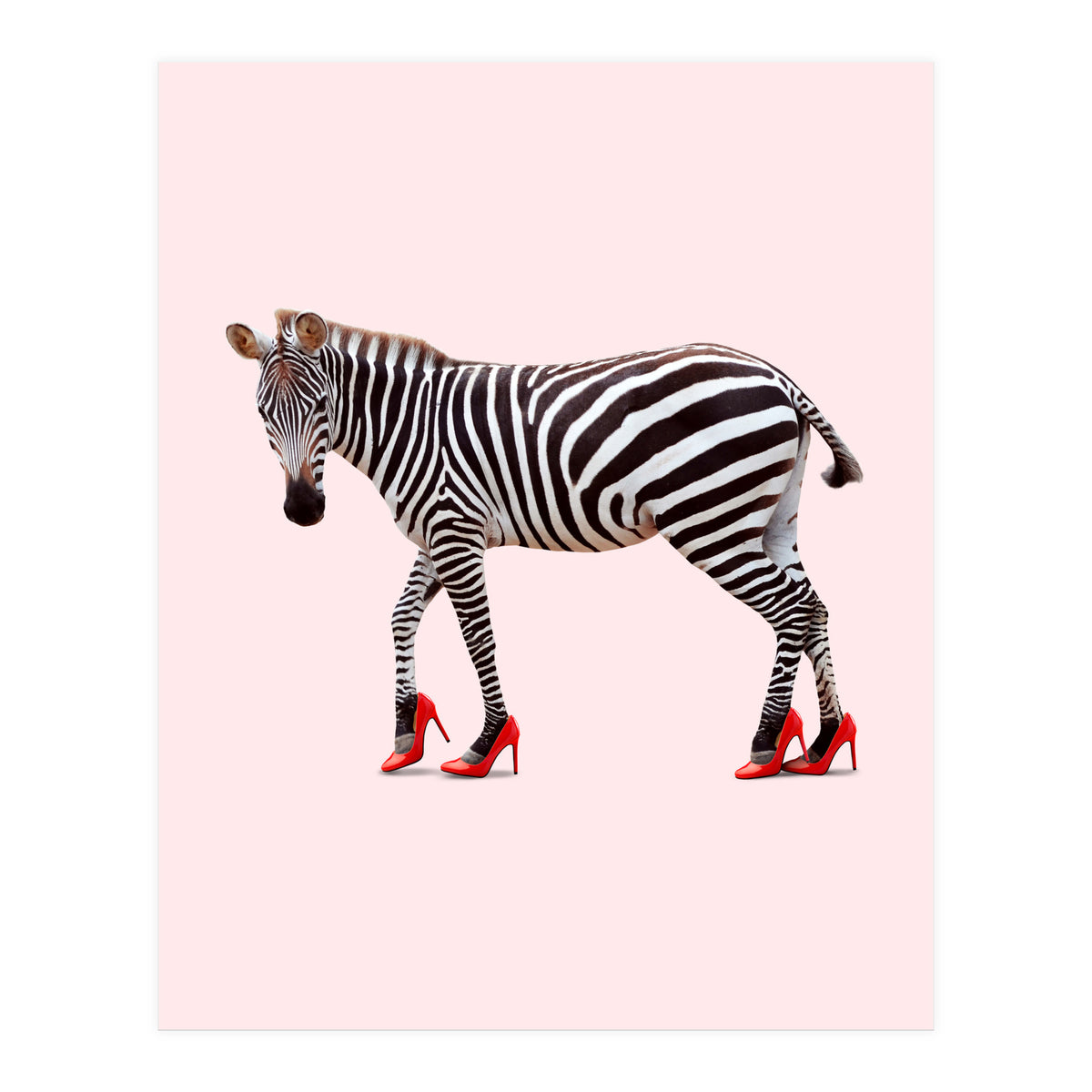 Zebra Heels (Print Only)