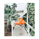 Flamingo Beach House (Print Only) thumbnail