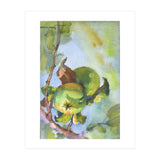 Apples on a branch (Print Only) thumbnail