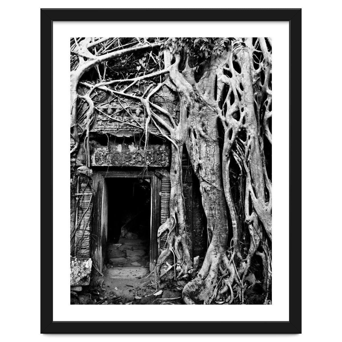 Ta Prohm Temple, Cambodia