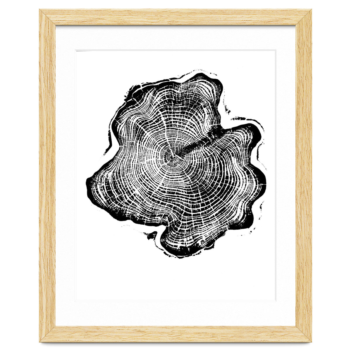 Alaskan Cypress, Tree Ring Art Print, Woodblock