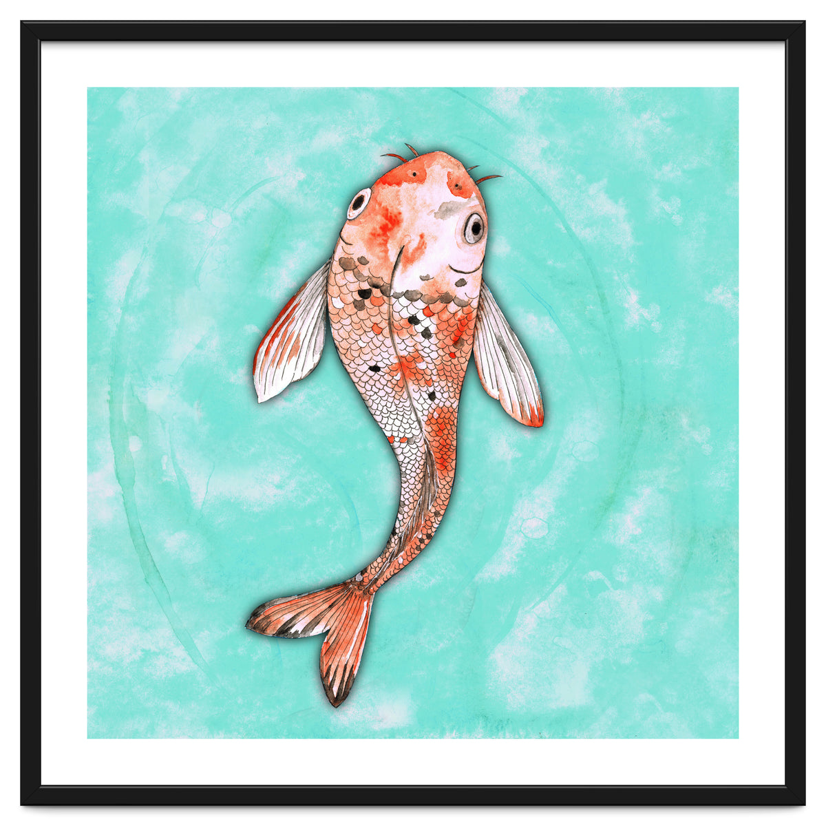 Koi fish