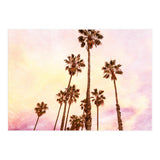 Coconut Groove (Print Only) thumbnail