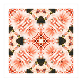 Blush Mandala (Print Only) thumbnail
