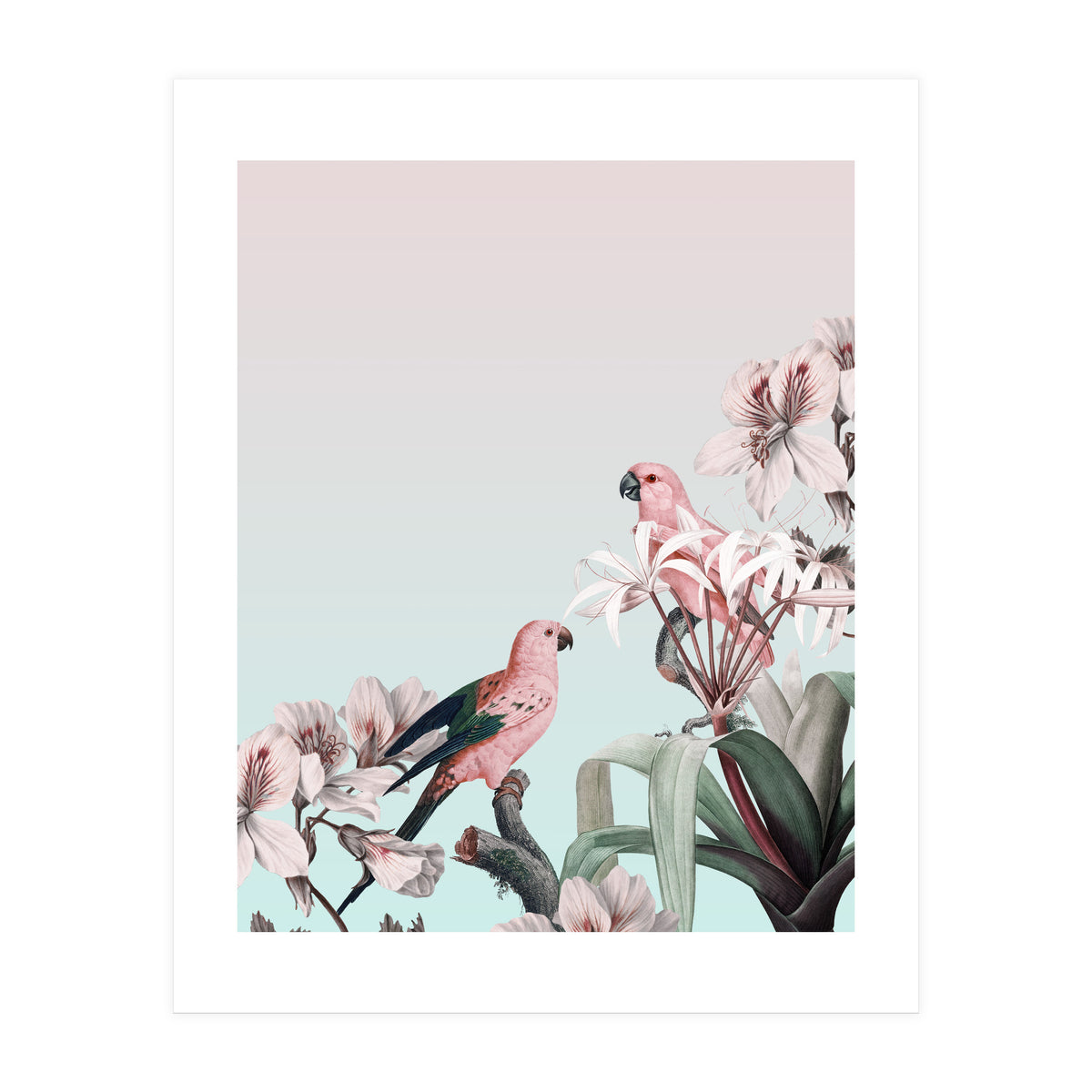 Pastel Parrots Paradise (Print Only)