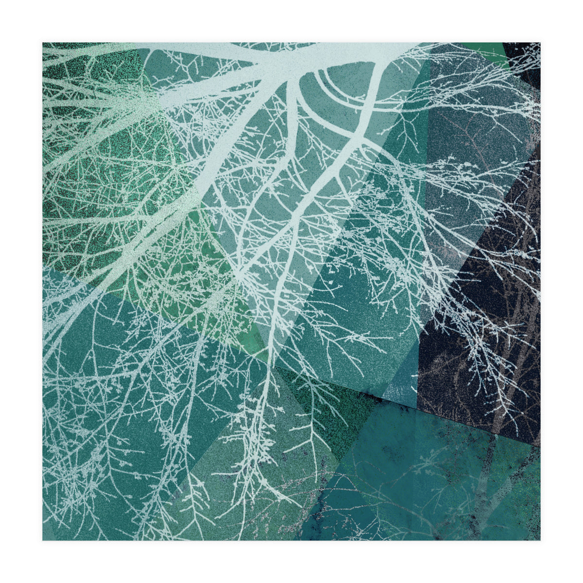 P19-E3 Trees and Triangles (Print Only)