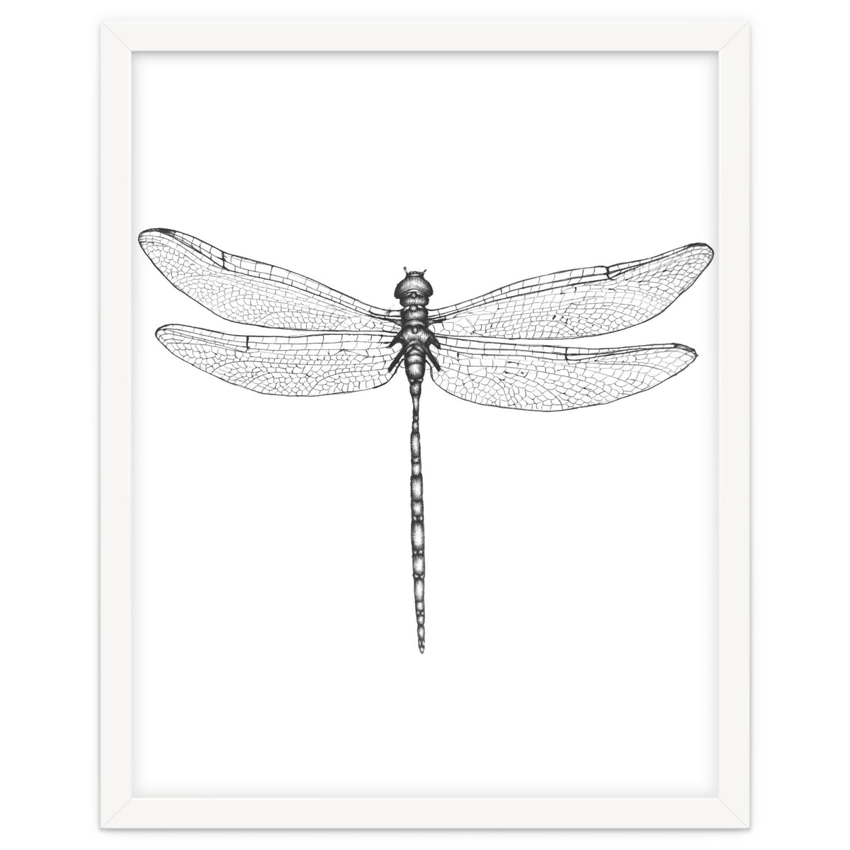 Dragonfly Wings