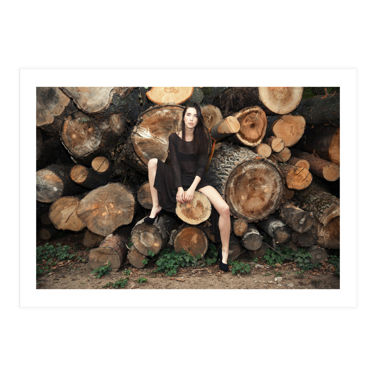 Slow Dancing Society (Print Only)