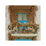 Flowered window in Venice (Print Only) thumbnail