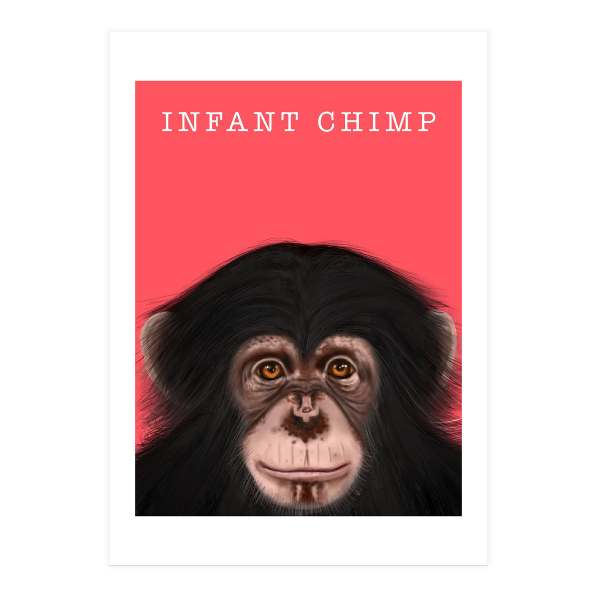 Infant Chimp (Print Only)