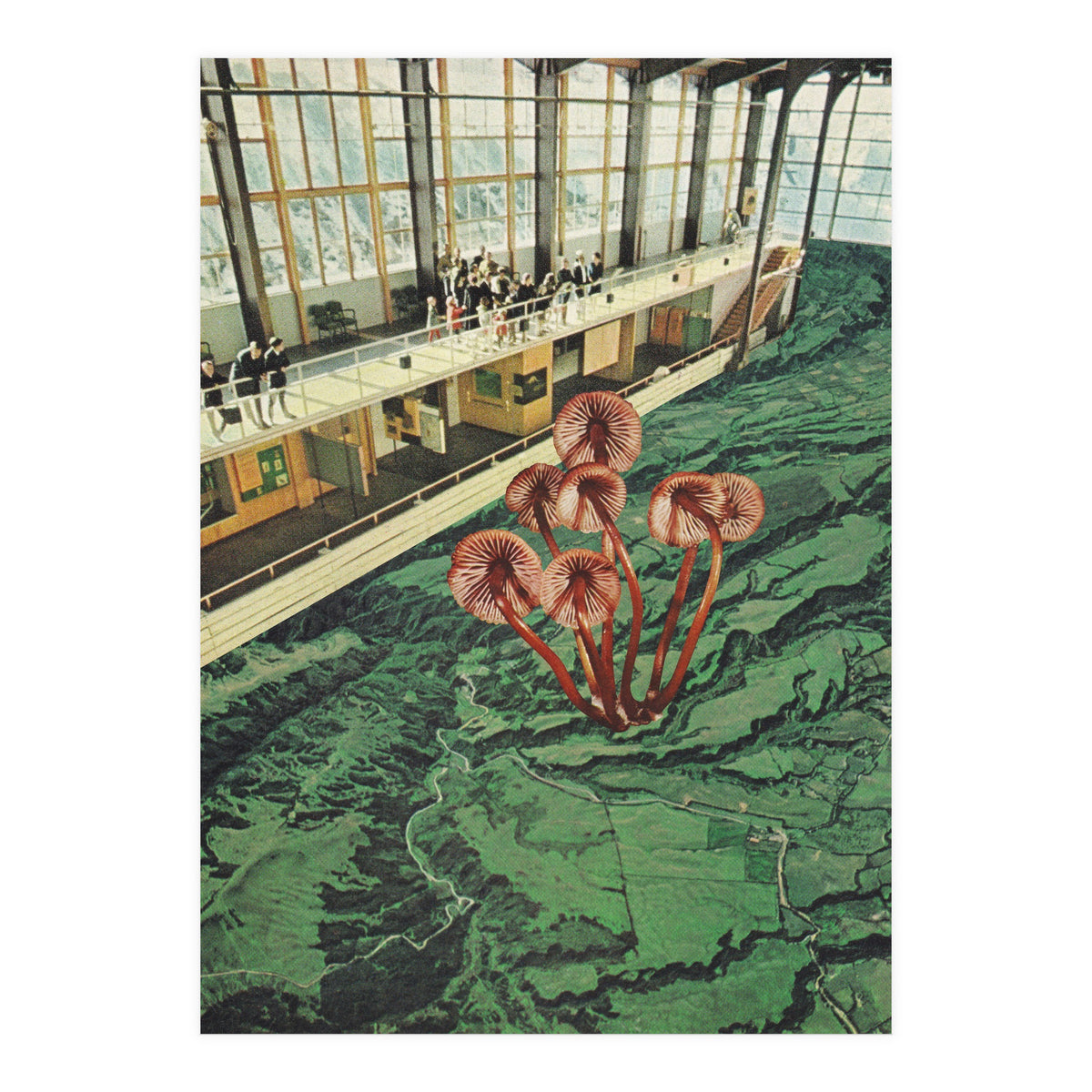 Mushroom Greenhouse (Print Only)