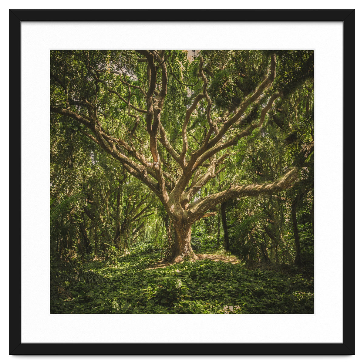 Spirits inside the wood