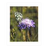 Marble white (Print Only) thumbnail
