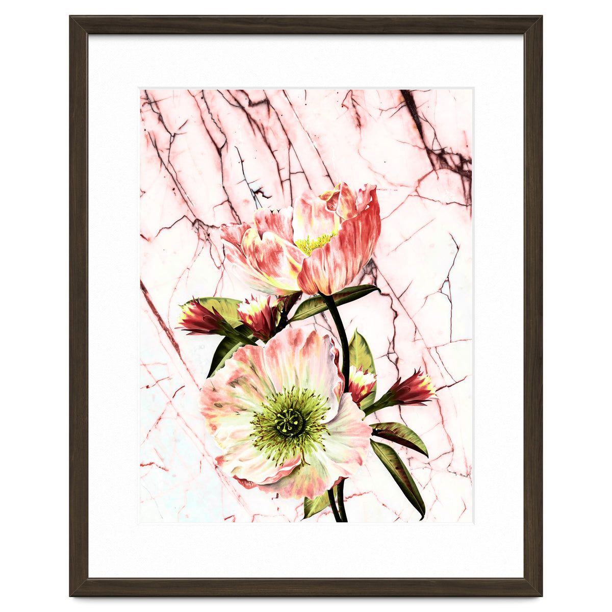 Flowering on pink marble