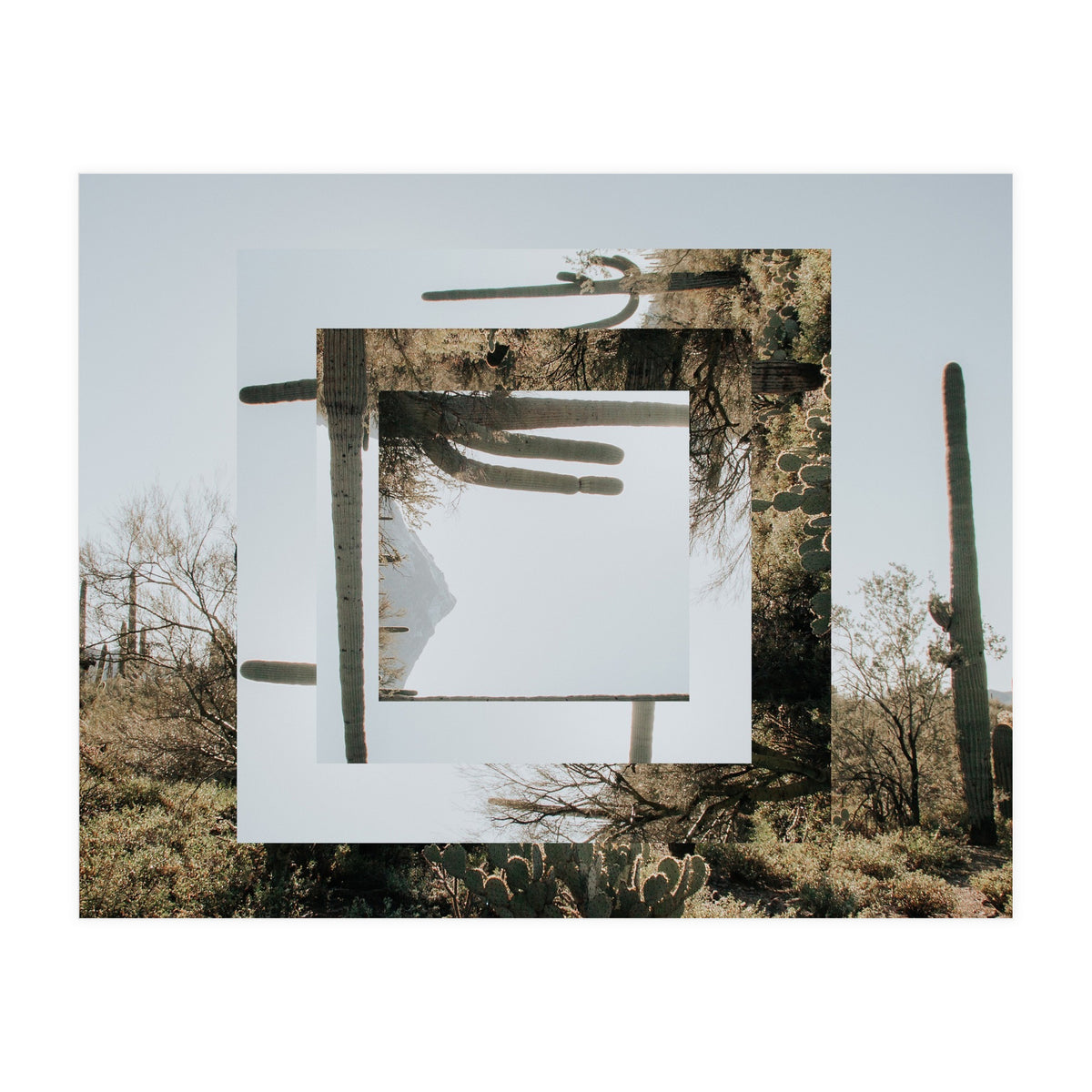 Quadratur 5 (Print Only)