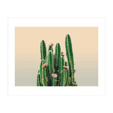 Flowered Cactus (Print Only) thumbnail
