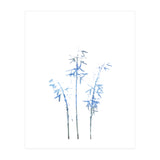 Blue Hosta (Print Only) thumbnail