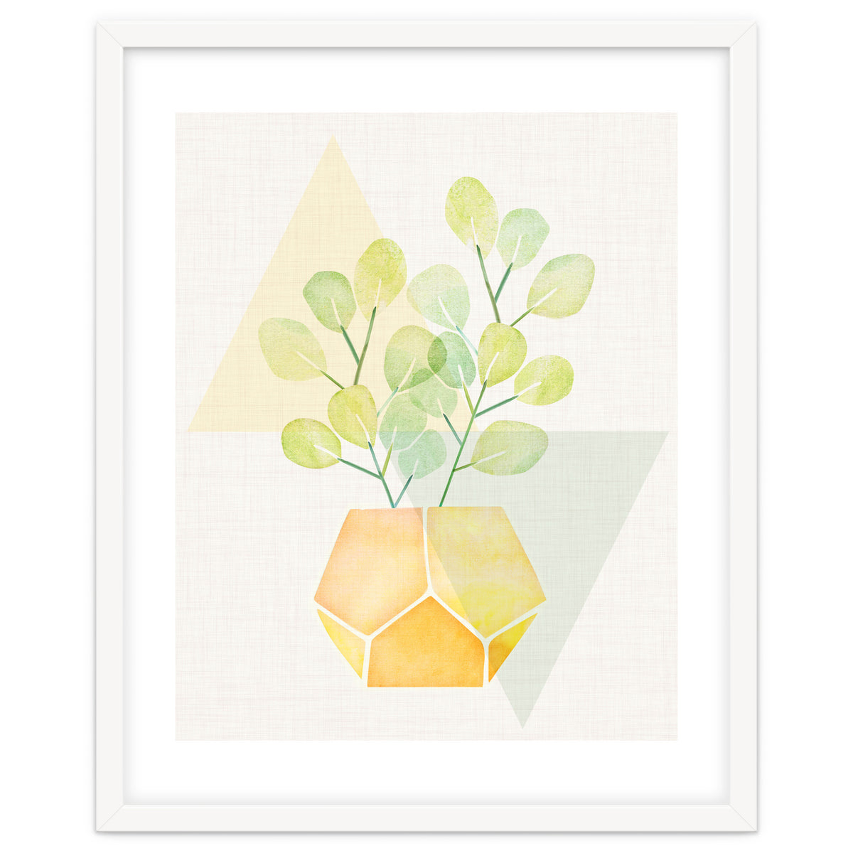 Geometry and House Plant