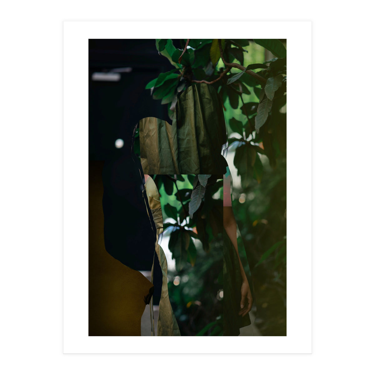 Disappeared Dreams 5 (Print Only)