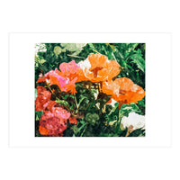 Blossoming Florals (Print Only)