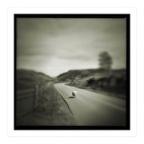 Gesto (Print Only) thumbnail