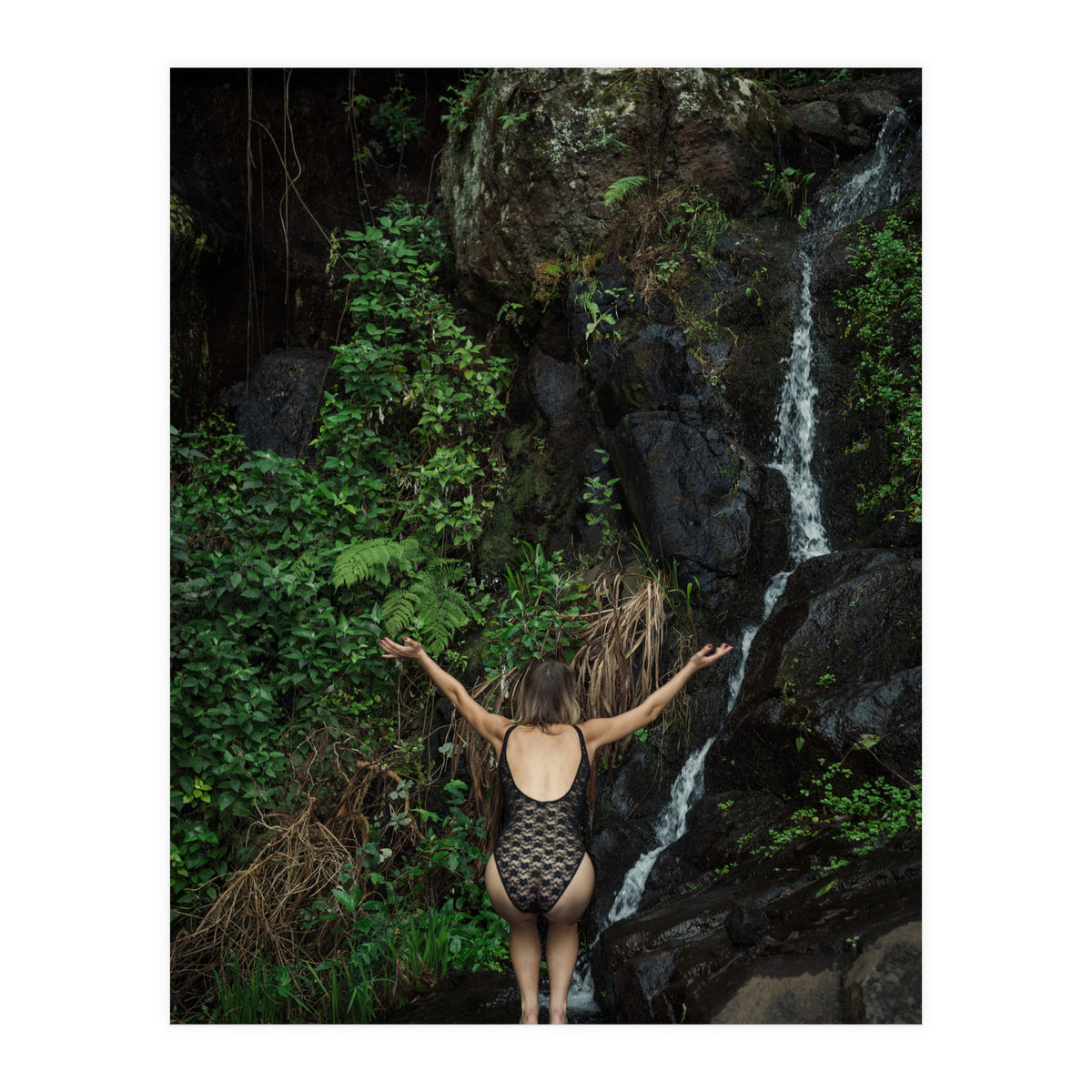 The Fountain of Youth (Print Only)