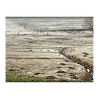 Wet meadows (Print Only)