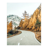 Snow and Golden Pine (Print Only) thumbnail