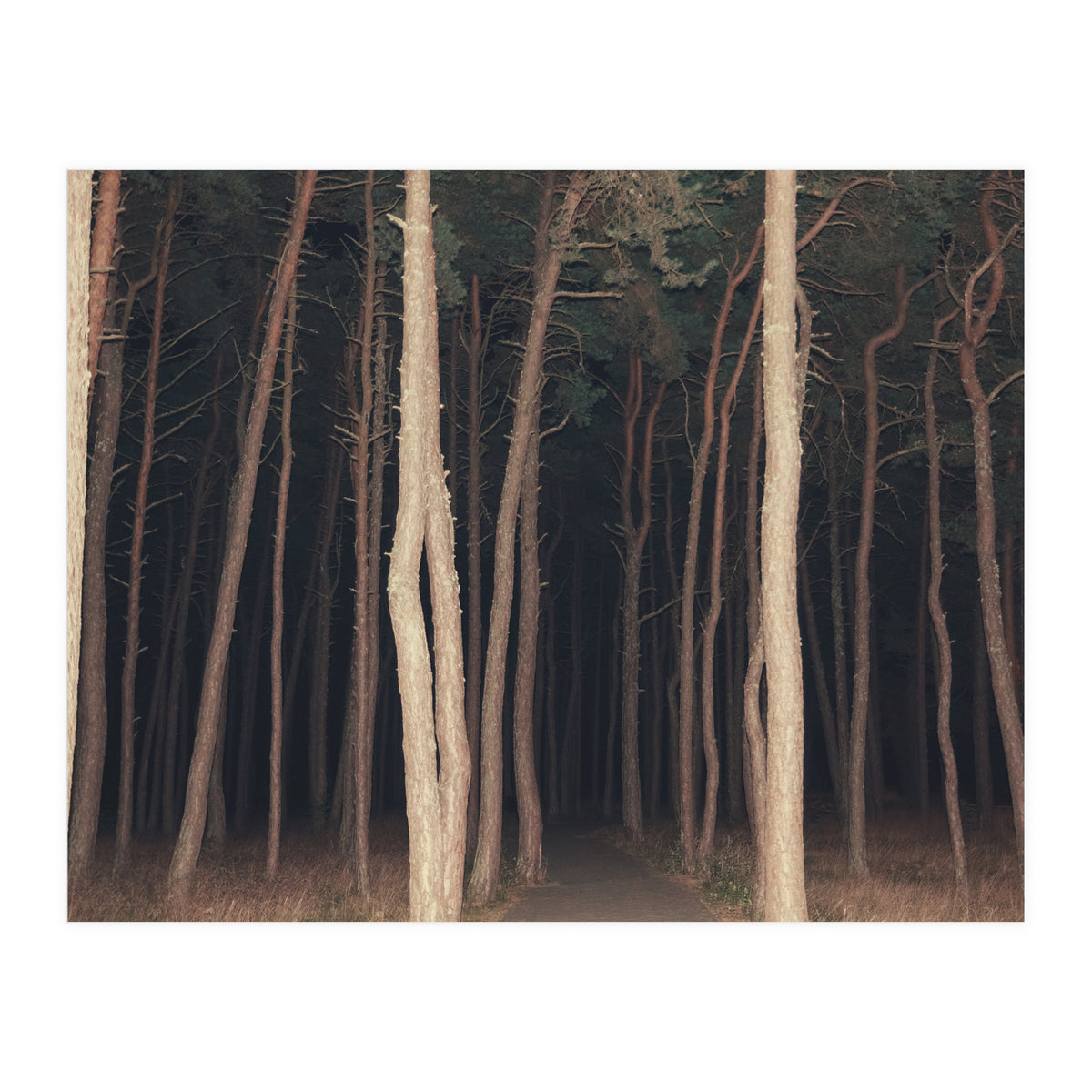 The Slender Man (Print Only)