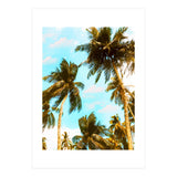 Cali Summer (Print Only) thumbnail