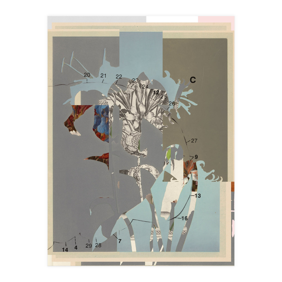 The First Plant · D (Print Only)