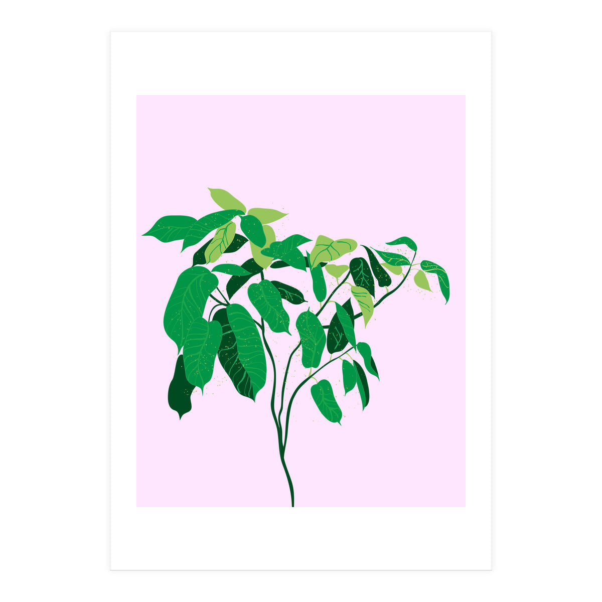 Ficus on Pink Background (Print Only)