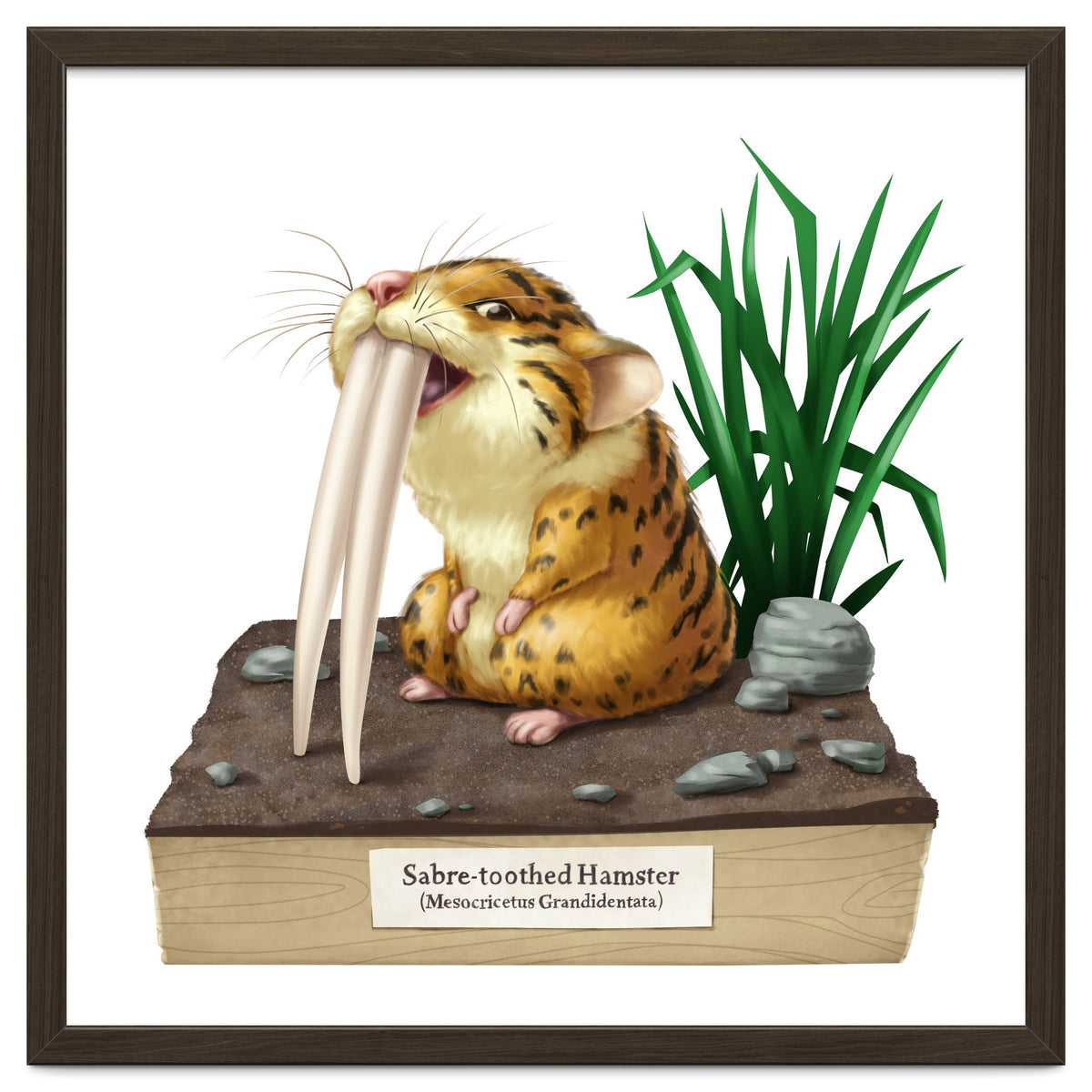 Saber-toothed Hamster