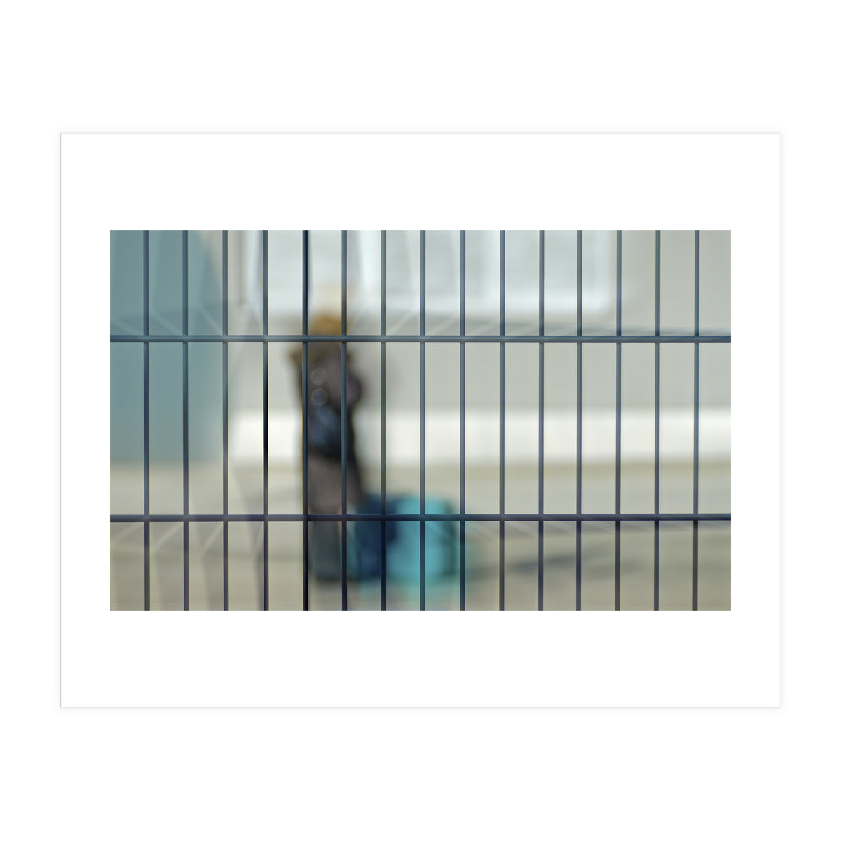 Behind a fence (Print Only)