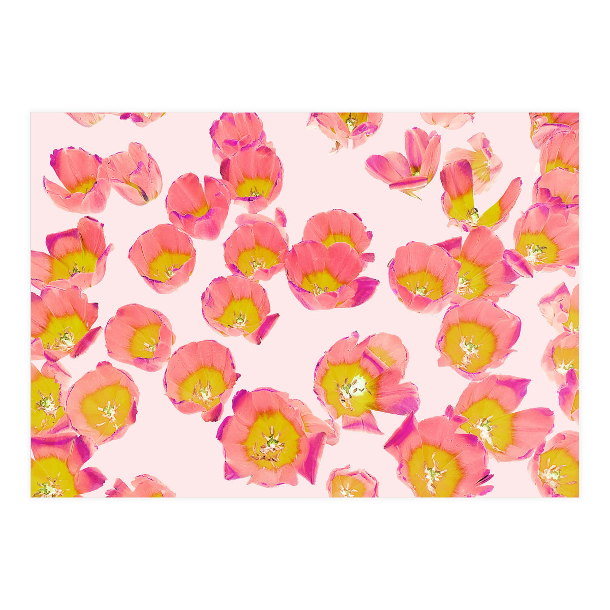 Flower Therapy (Print Only)