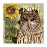 Sunflowers and Barred Owl (Print Only) thumbnail