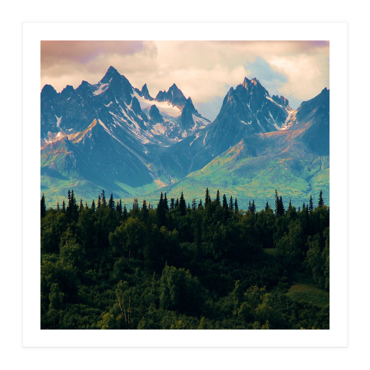 Escaping from woodland heights II (Print Only)