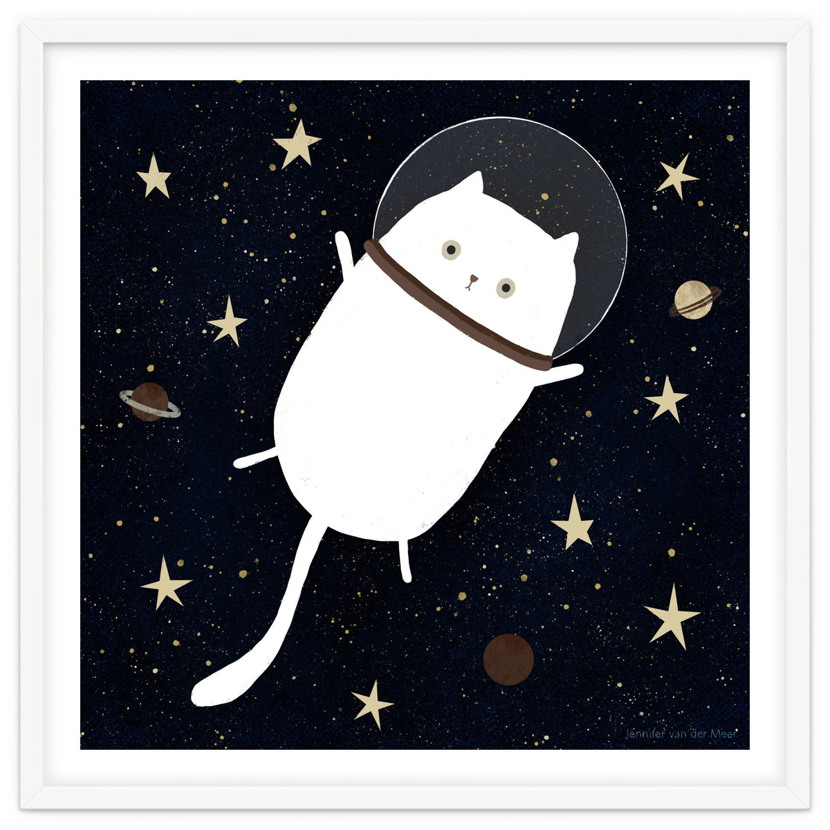 Cat 32: Cats in space!