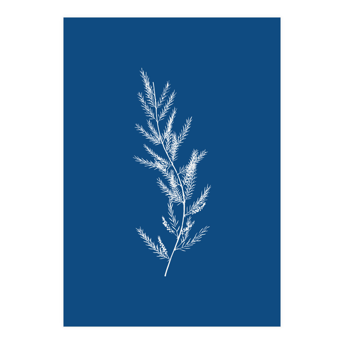 Blue Botanical II (Print Only)