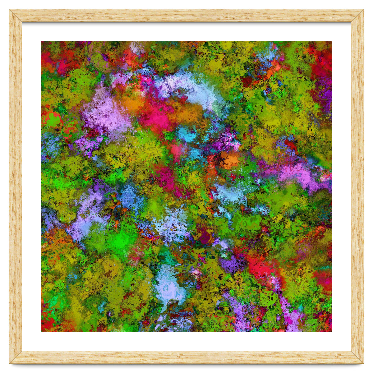 Above The Tree Canopy