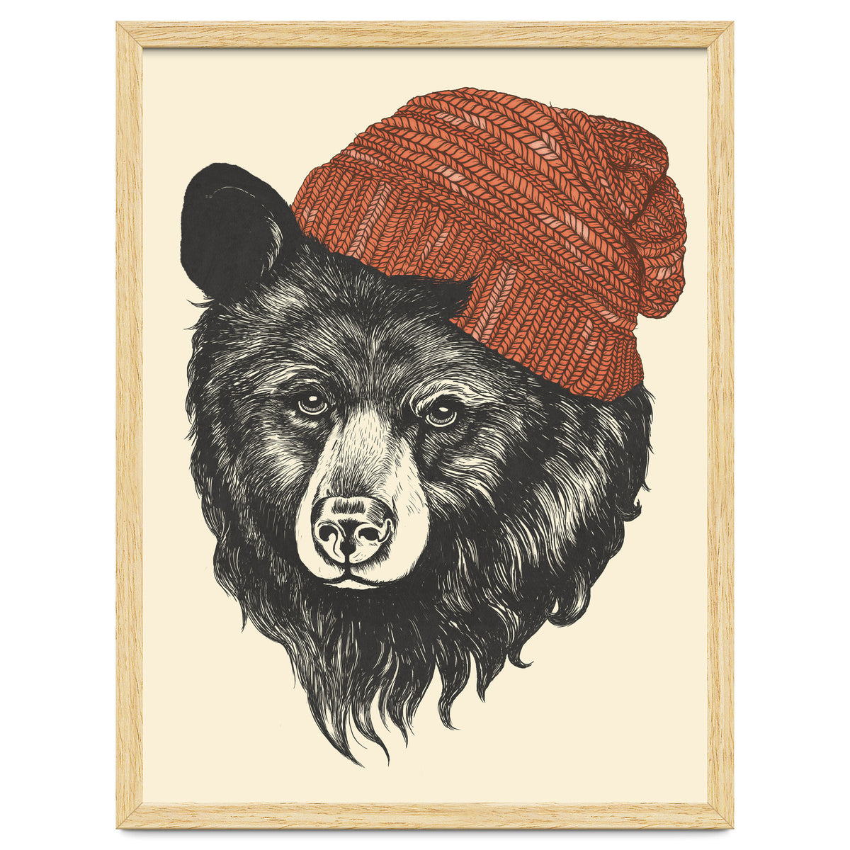Zissou The Bear