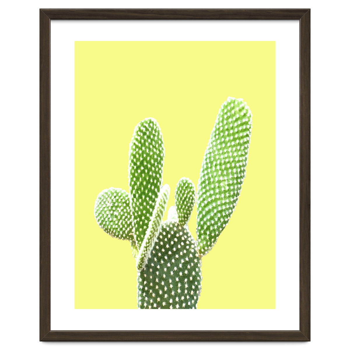 Cactus Yellow Background