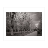 Bute Park, Cardiff (Print Only) thumbnail