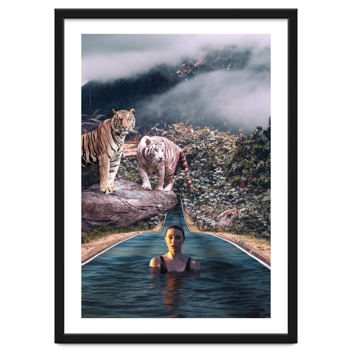 Infinite Pool To Tiger Jungle