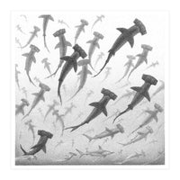 Schooling Hammerheads (Print Only)