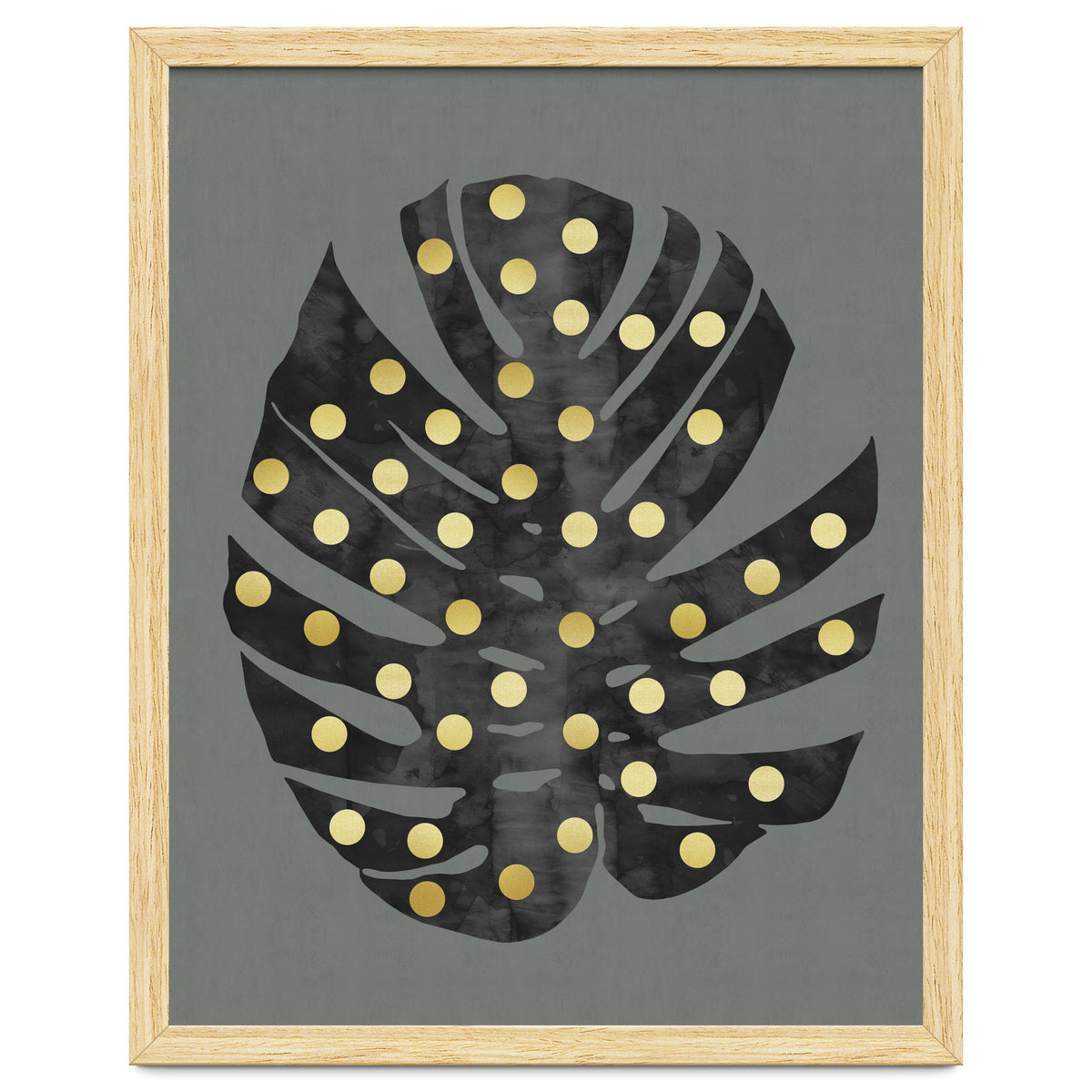 Monstera Deliciosa V