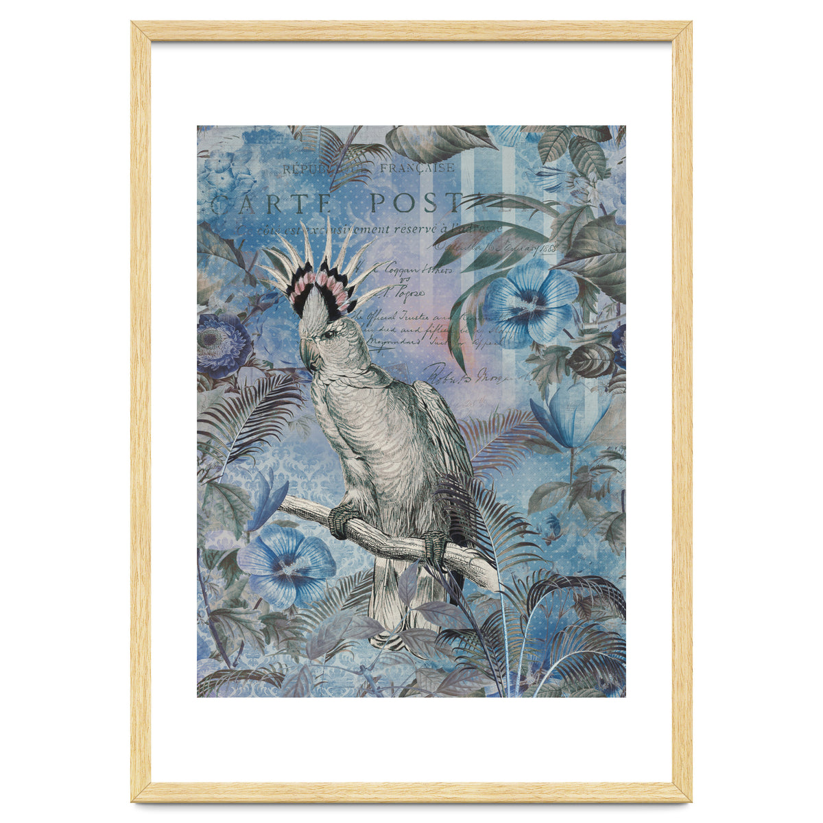 Jungle Cockatoo Blue