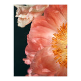 Coral Charm #2  (Print Only) thumbnail